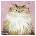 Kim Haskins Cat Themed Greeting Card 'Peggy' Cat Greeting Card
