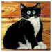 Kim Haskins Cat Themed Greeting Card Bonington Cat Greeting Card