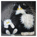 Kim Haskins Cat Themed Greeting Card 'A Tale of Two Kitties' Funny Cat Greeting Card