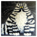 Kim Haskins Cat Themed Greeting Card 'Bert' Funny Black & White Cat Greeting Card