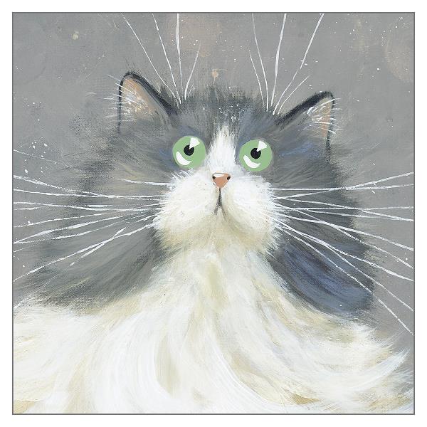 'Foggy' Cat Greeting Card by Kim Haskins