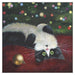 Kim Haskins Cat Themed Greeting Card 'Baubles' Black & White Cat Greeting Christmas Card by Kim Haskins