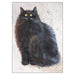 'Herman' Blank Black Cat Greeting Card by Kim Haskins