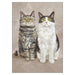 'Hope and Natalie' Blank Cat Greeting Card by Kim Haskins