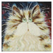 'Jazz' Blank Cat Greeting Card by Kim Haskins