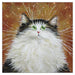 'Jenny Pooh' Blank Cat Greeting Card by Kim Haskins