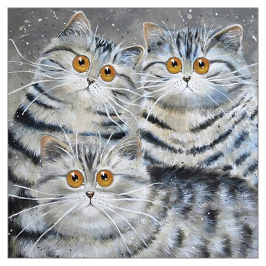 'Saphy, Oakley & Oscar' Blank Cat Greeting Card by Kim Haskins