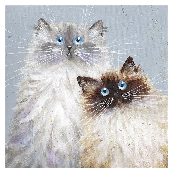 'Sully and Bucky' Blank Cat Greeting Card by Kim Haskins