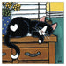 'Cat Nap' Cat Greeting Card by Lisa Marie Robinson
