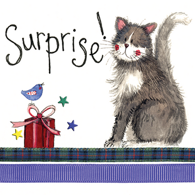 Suprise Birthday Little Sparkle Cat Birthday Card
