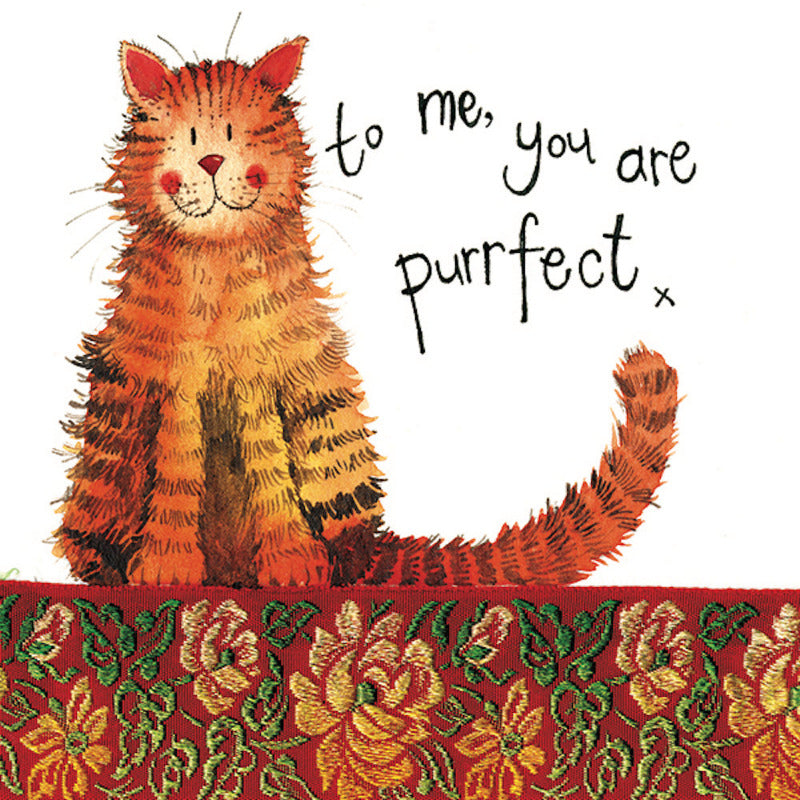 Purrfect Cat Little Sparkle Greetings Card