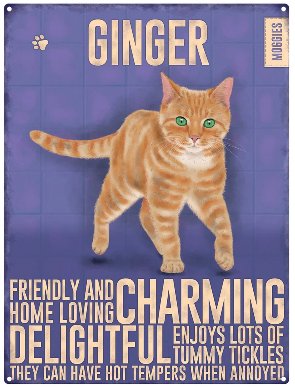 Ginger Cat Metal Hanging Cat Sign
