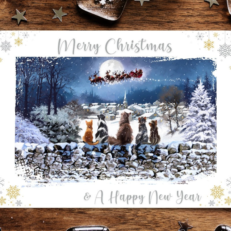Richard Macneil Merry Christmas Cats Christmas Card