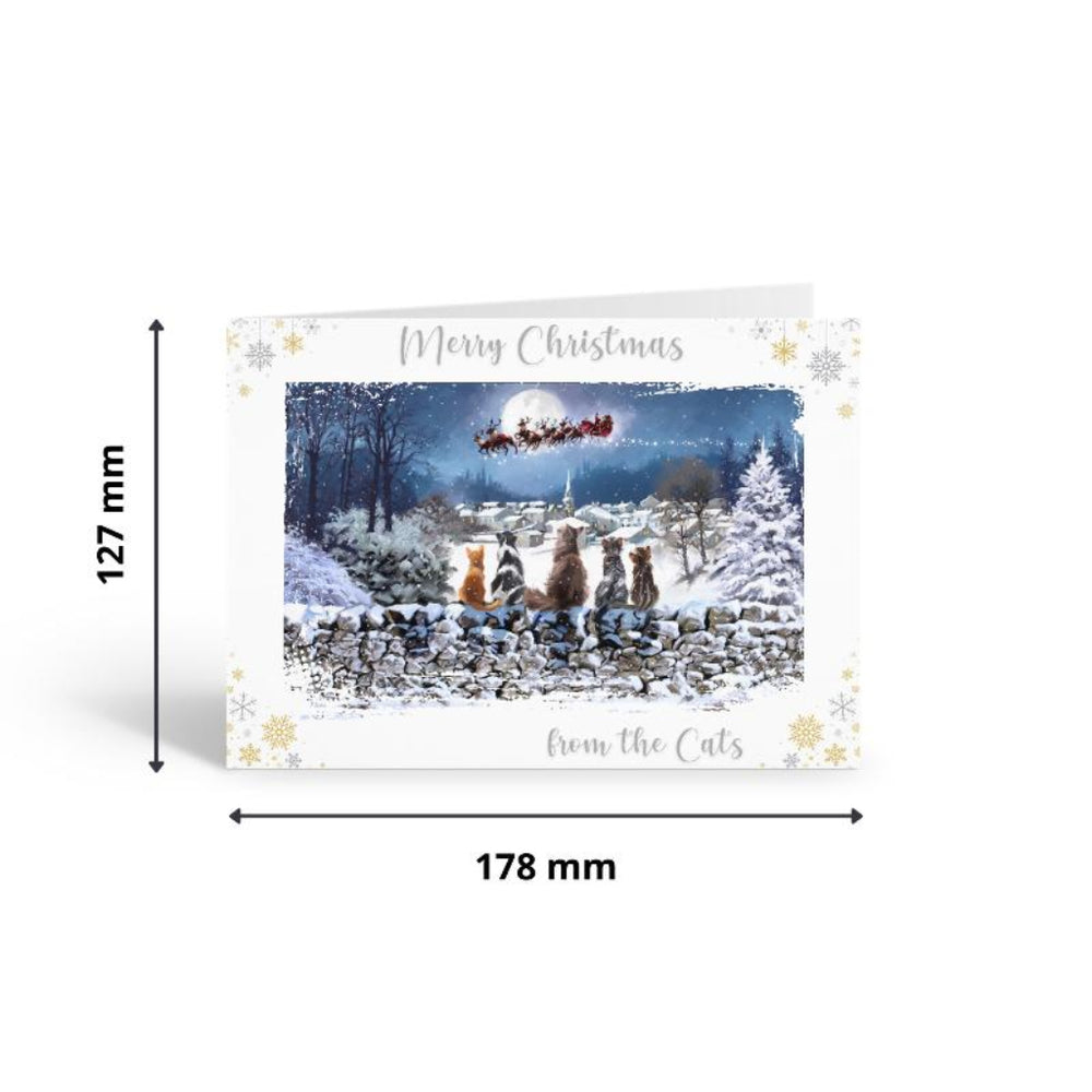 Christmas card with cats in a snowy scene and dimensions on a white background