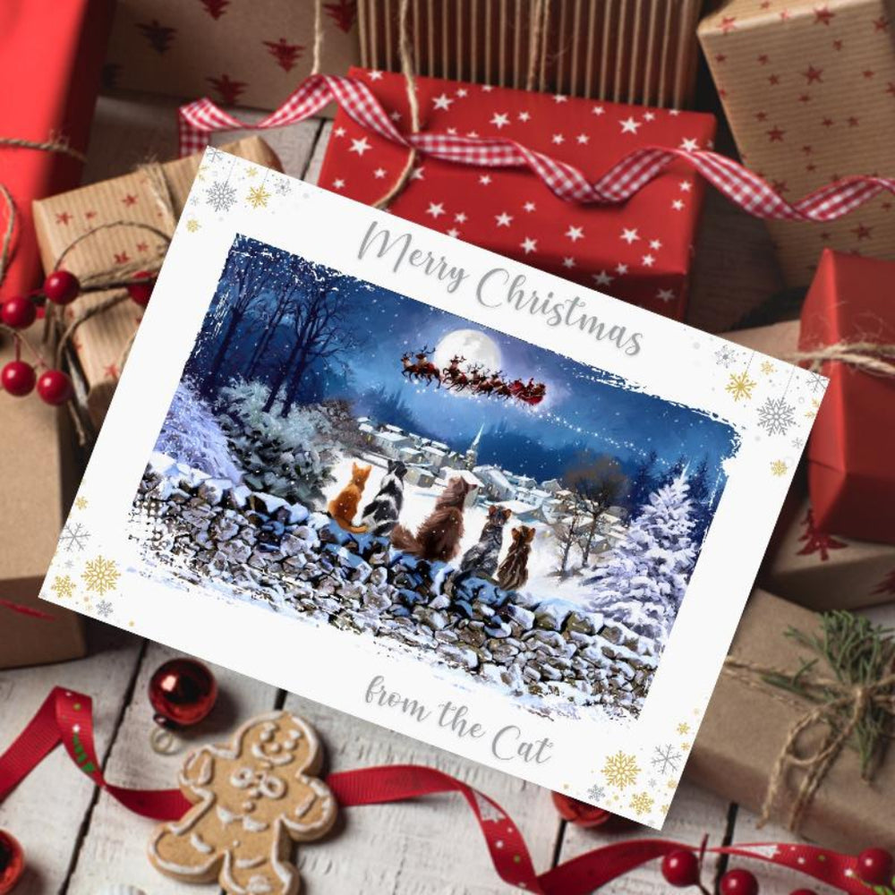 Richard Macneil From the Cat Christmas Cats Greeting Card
