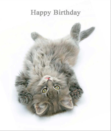 Tickle Me Cat Birthday Card