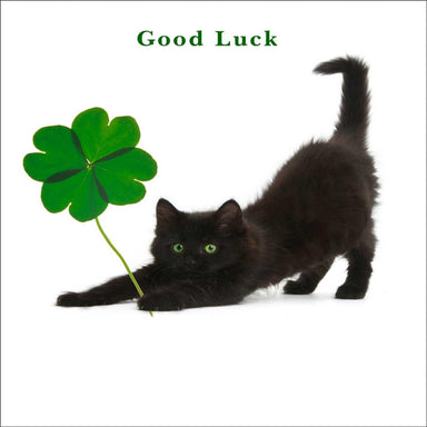 Cat Themed Good Luck Card 'Lucky Clover' Cat Greeting Card