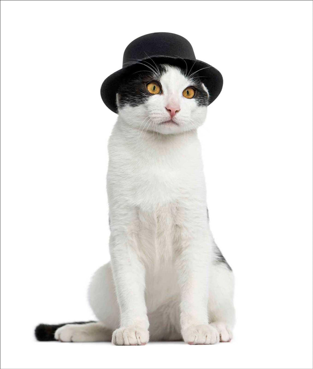 Cat in a Bowler Hat Greeting Card