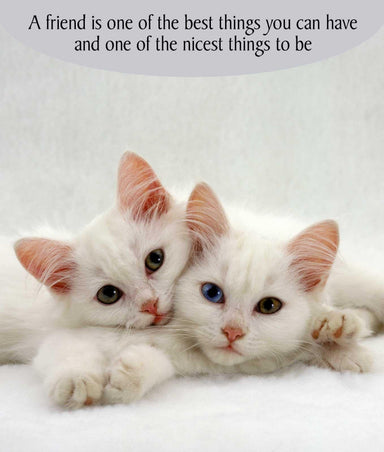 Cat Friendship Card A Friend is One of the Best Things Greeting Card
