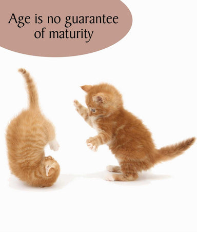 Funny Cat Birthday Card Age is No Guarantee of Maturity Birthday Card