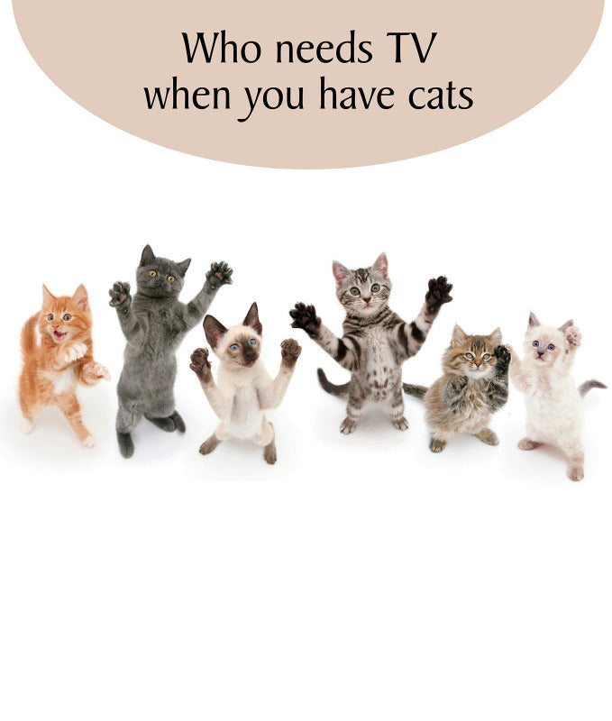 Who Needs TV? Cat Greeting Card
