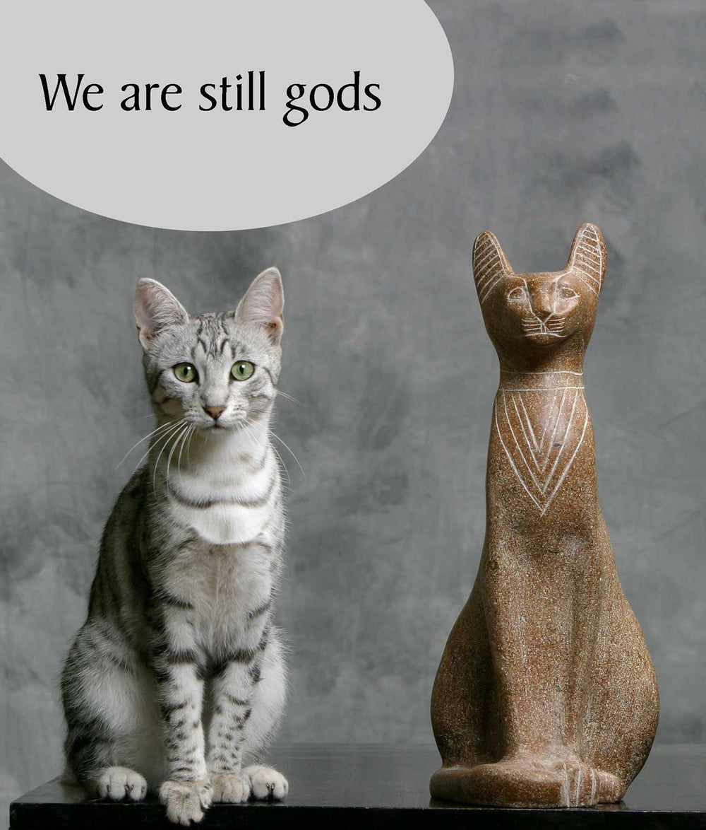 We are Still Gods Cat Greeting Card
