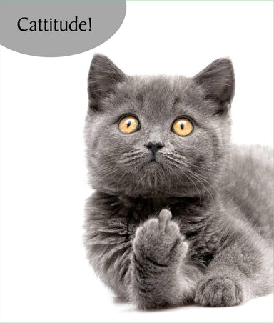 Cattitude! Greeting Cat Card