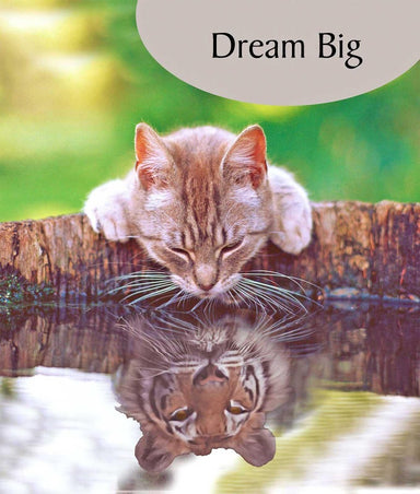Dream Big Cat Greeting Card