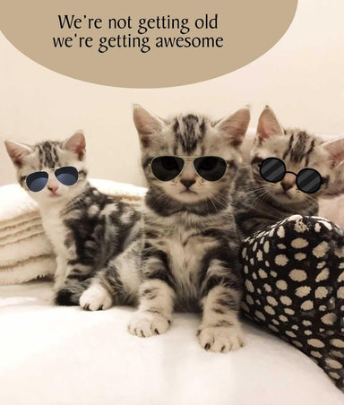 Getting Awesome Cat Birthday Card