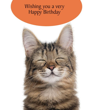 Funny Cat Birthday Card A Very Happy Birthday Cat Card