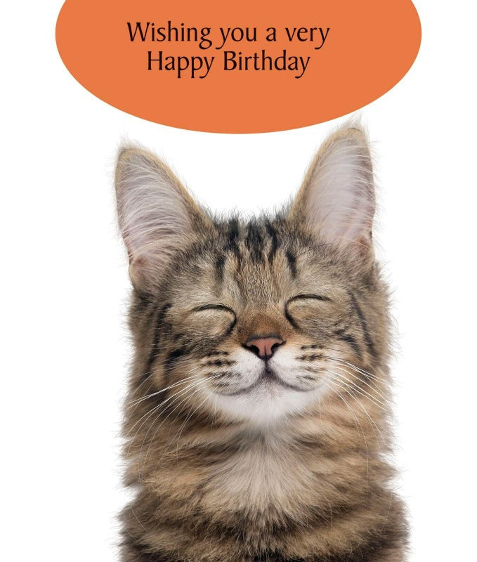 Funny Cat Birthday Card A Very Happy Birthday Cat Card