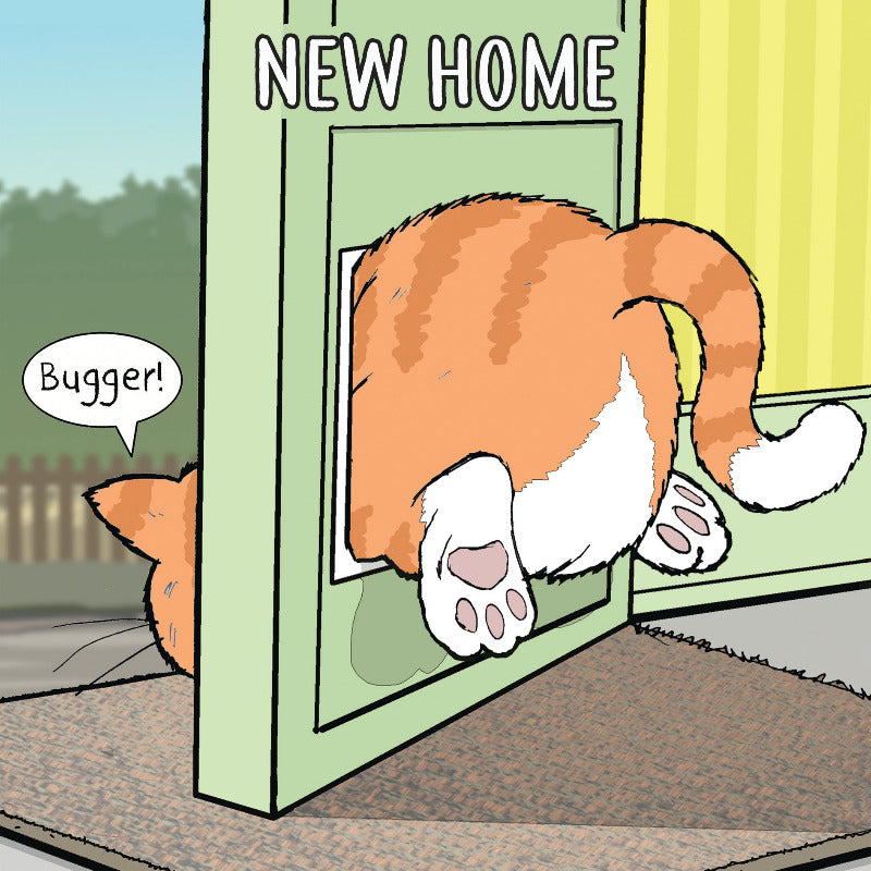 'New Home' Humorous Cat Greeting Card by Michael Canine