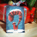 'Red Cabana' Cat Christmas Card