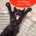 So Happy You're Mine Cat Greetings Card