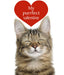 Purrfect Valentine Cat Greetings Card
