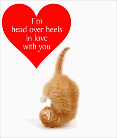 Head Over Heels Cat Greetings Card