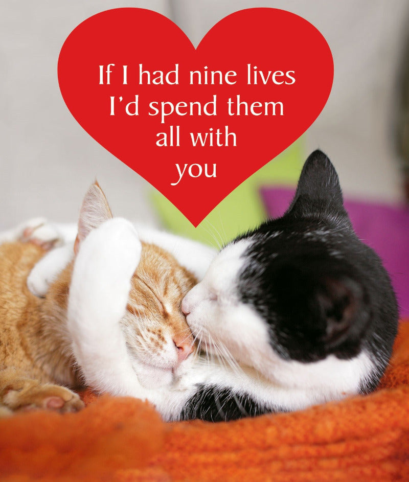 Nine Lives Cat Greetings Card