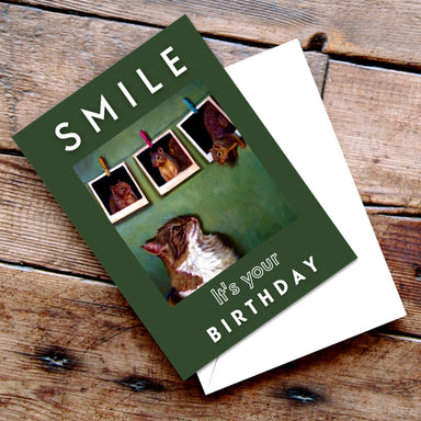 Smile by Lucia Heffernan Cat Greeting Card