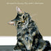 'Menu' Cat Greeting Card by Anna Danielle Tabby Cat