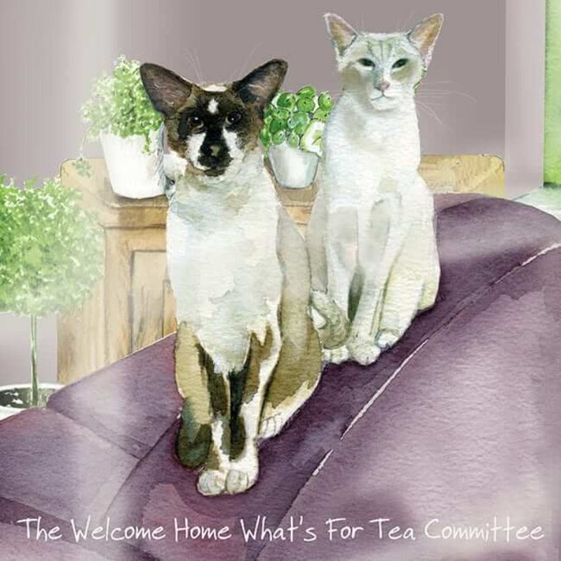 'Welcome Committee' Siamese Cat Greeting Card by Anna Danielle