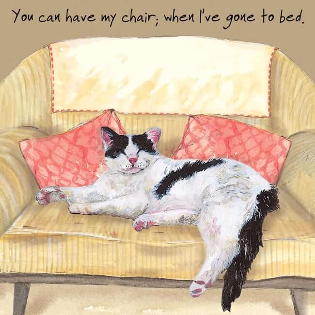 Cat Themed Greeting Card 'Chair Bed' Cat Greeting Card by Anna Danielle