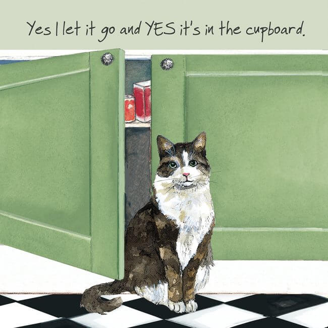 'Let it Go' Cat Greeting Card by Anna Danielle