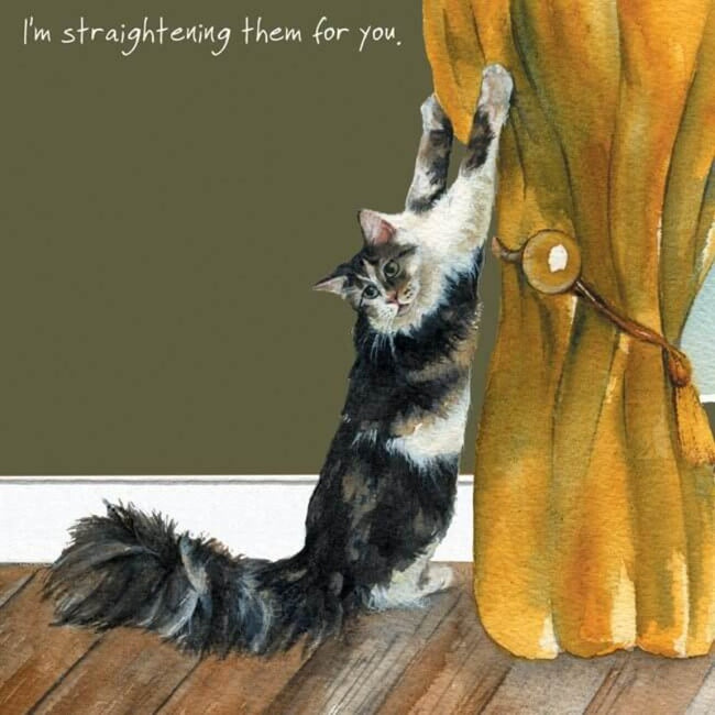 Funny Cat Themed Greeting Card 'Straightening' Cat Greeting Card by Anna Danielle