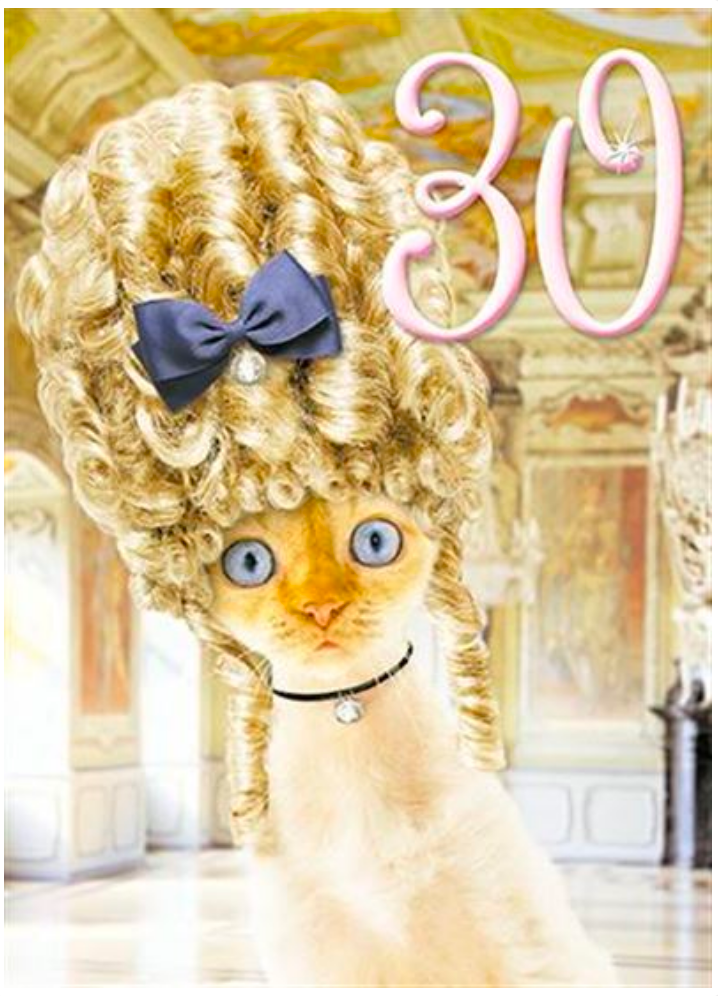 Fabulous 30th Cat with Big Hair Birthday Card