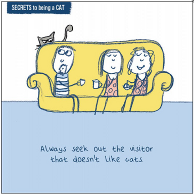 The Visitor Funny Cat Greeting Card