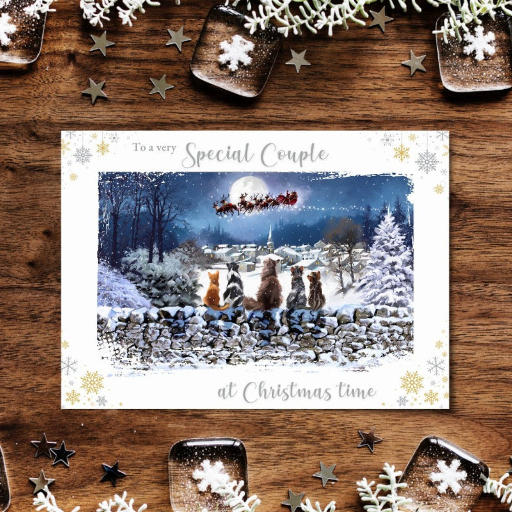 Richard Macneil Special Couple Christmas Cats Greeting Card