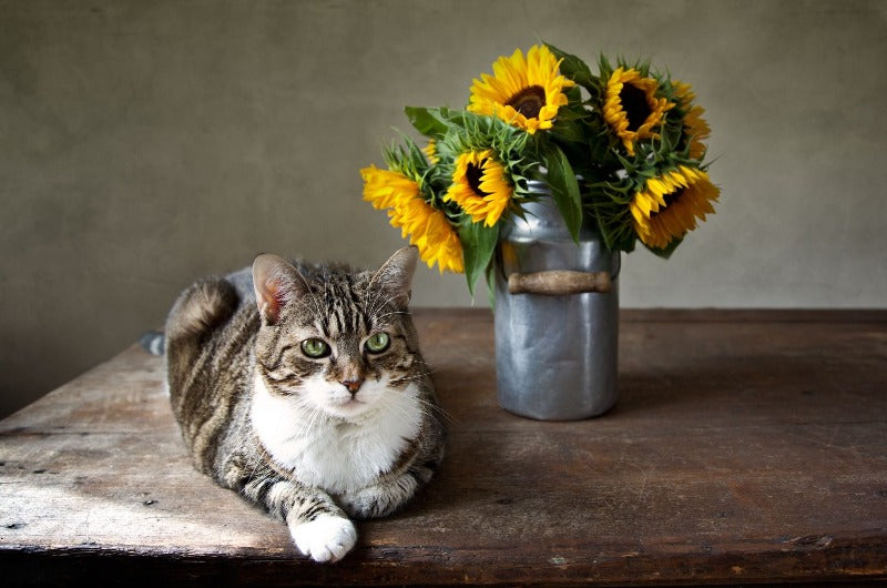 Sunflower Cat Lap Tray by Fabulous Felines