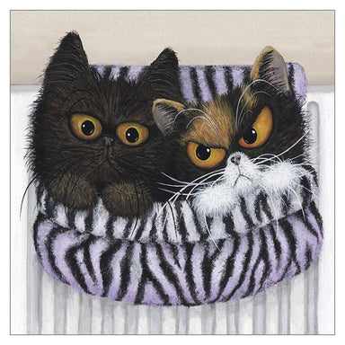 'Squidged in the Hot Spot' Cat Greeting Card by Tamsin Lord