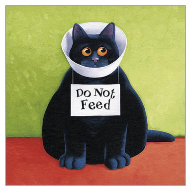 Vicky Mount Black Cat Themed Greeting Card 'Do Not Feed' Cat Greeting Card