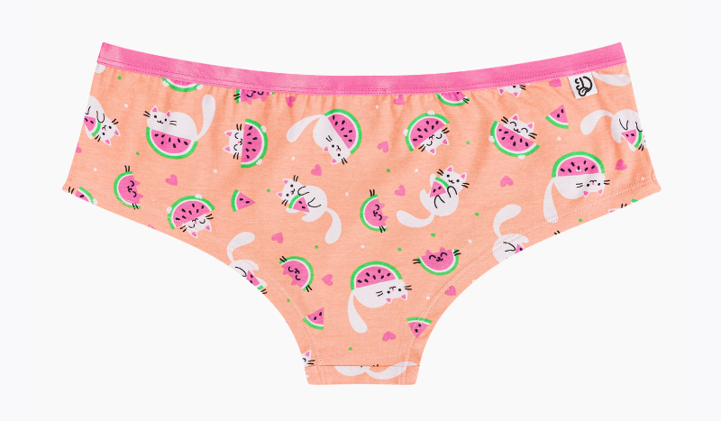 Watermelon Cats Womens Hipster Briefs Knickers